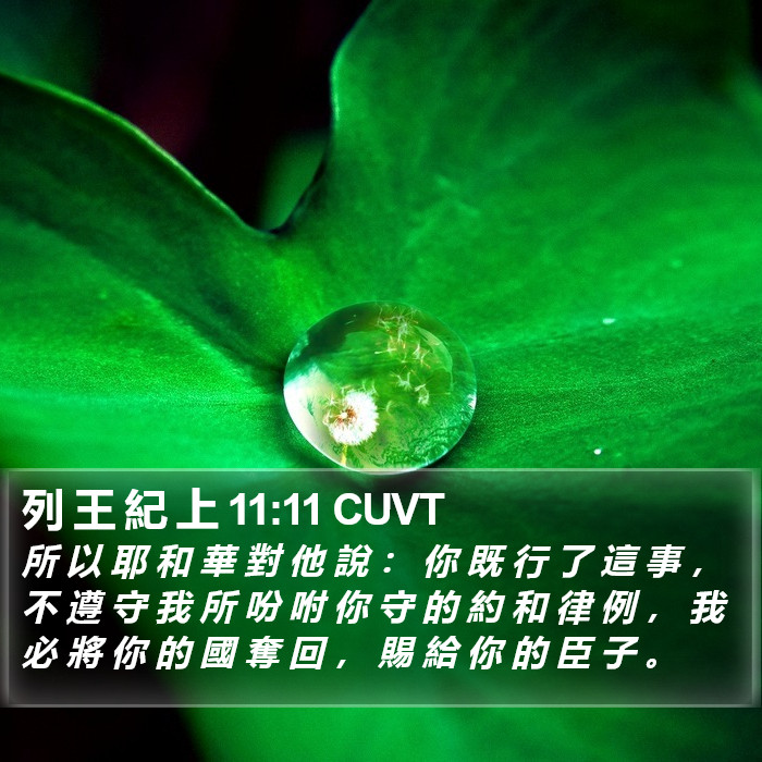 列 王 紀 上 11:11 CUVT Bible Study