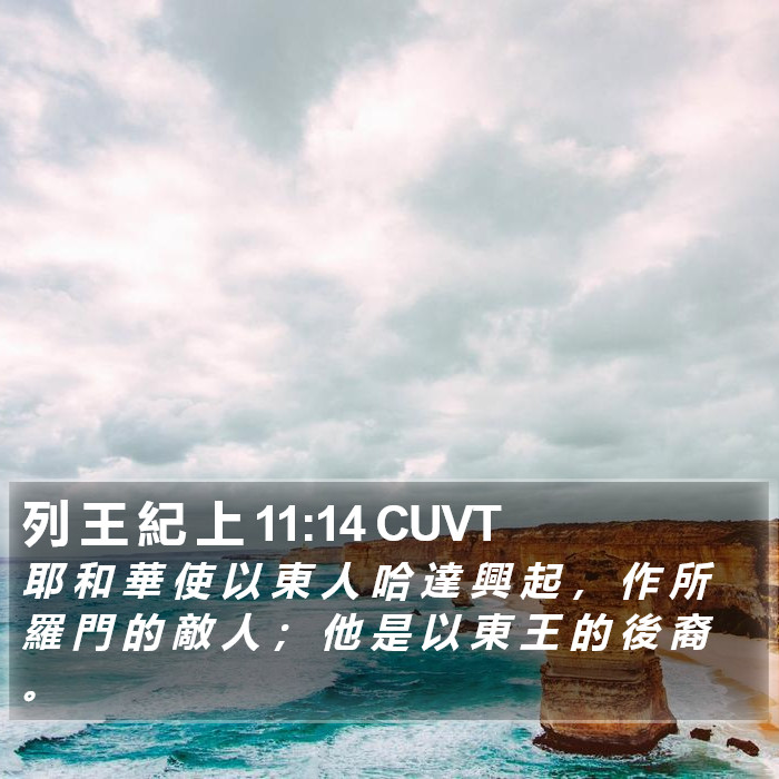 列 王 紀 上 11:14 CUVT Bible Study