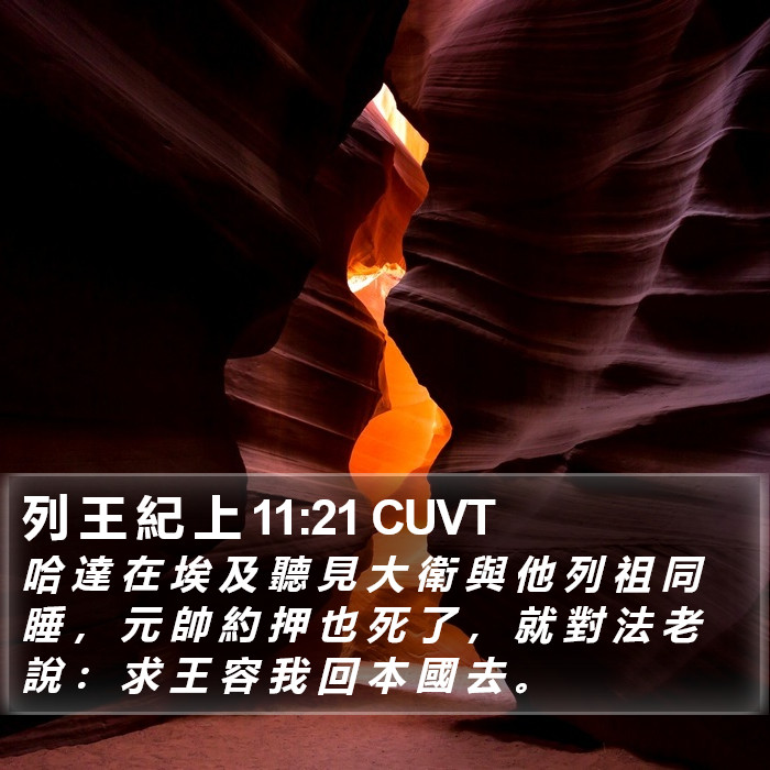 列 王 紀 上 11:21 CUVT Bible Study