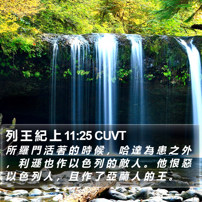 列 王 紀 上 11:25 CUVT Bible Study
