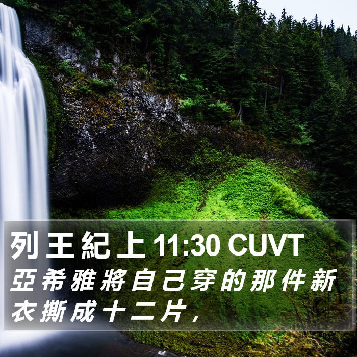 列 王 紀 上 11:30 CUVT Bible Study