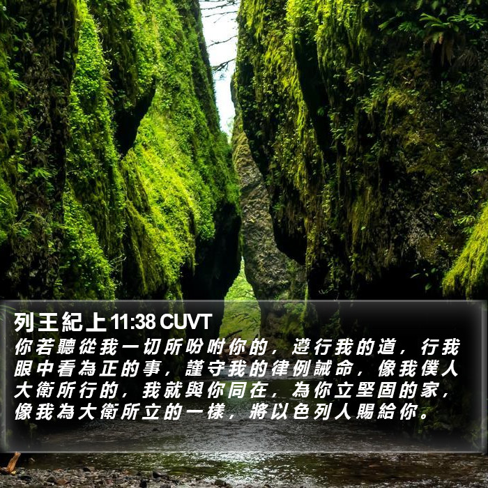 列 王 紀 上 11:38 CUVT Bible Study