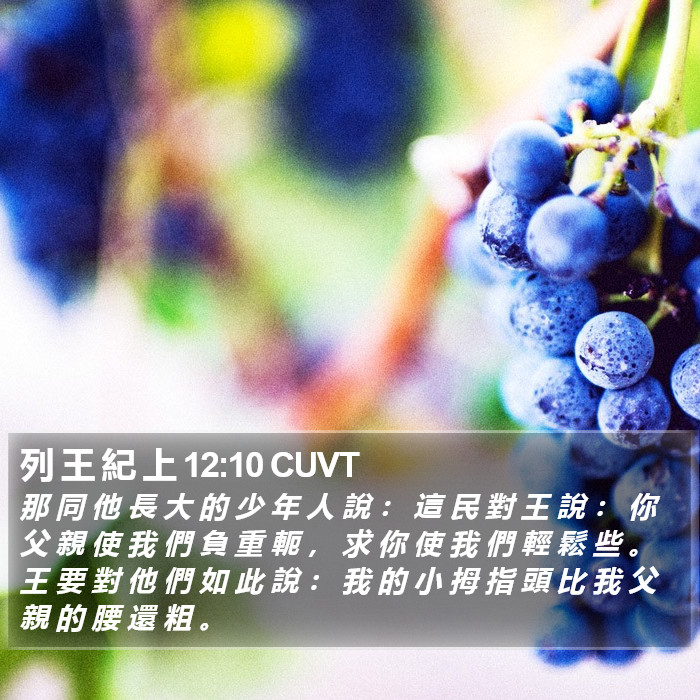 列 王 紀 上 12:10 CUVT Bible Study