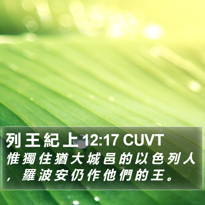 列 王 紀 上 12:17 CUVT Bible Study