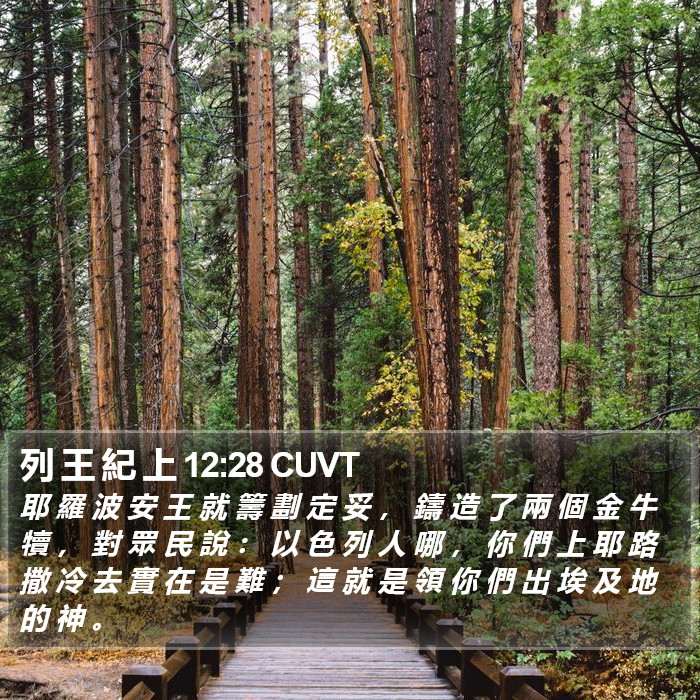 列 王 紀 上 12:28 CUVT Bible Study