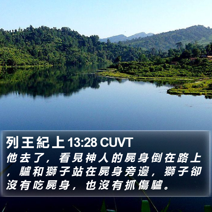 列 王 紀 上 13:28 CUVT Bible Study