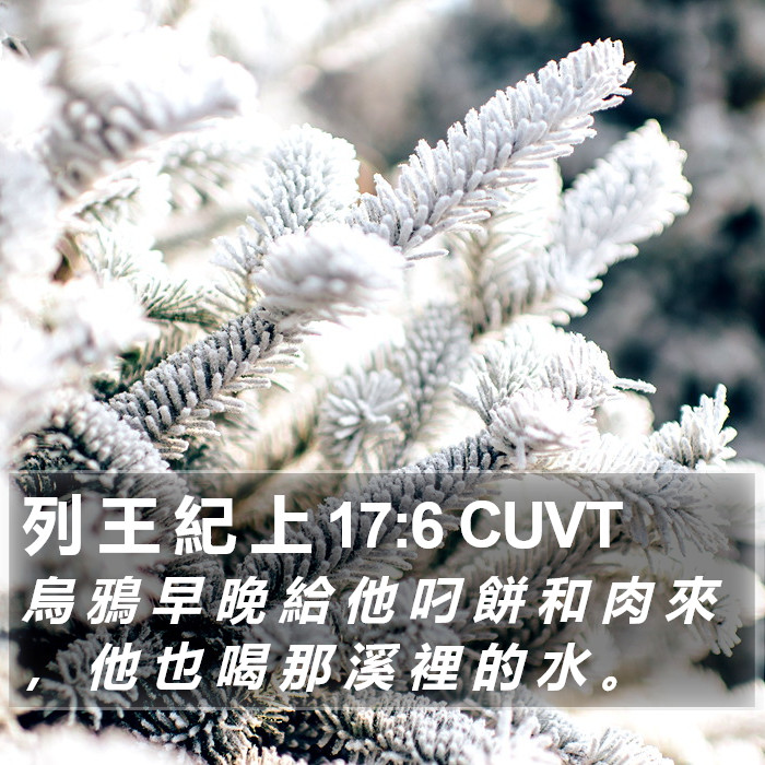 列 王 紀 上 17:6 CUVT Bible Study