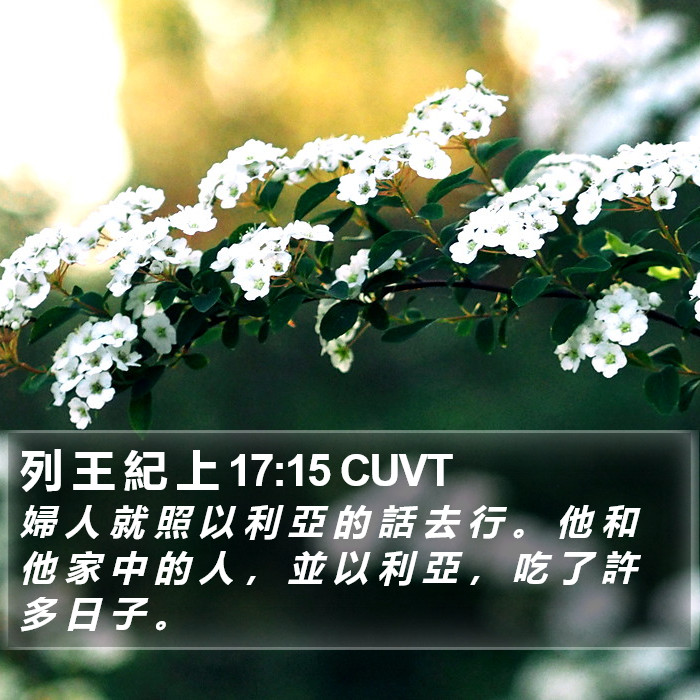 列 王 紀 上 17:15 CUVT Bible Study