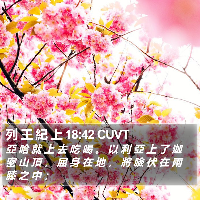 列 王 紀 上 18:42 CUVT Bible Study