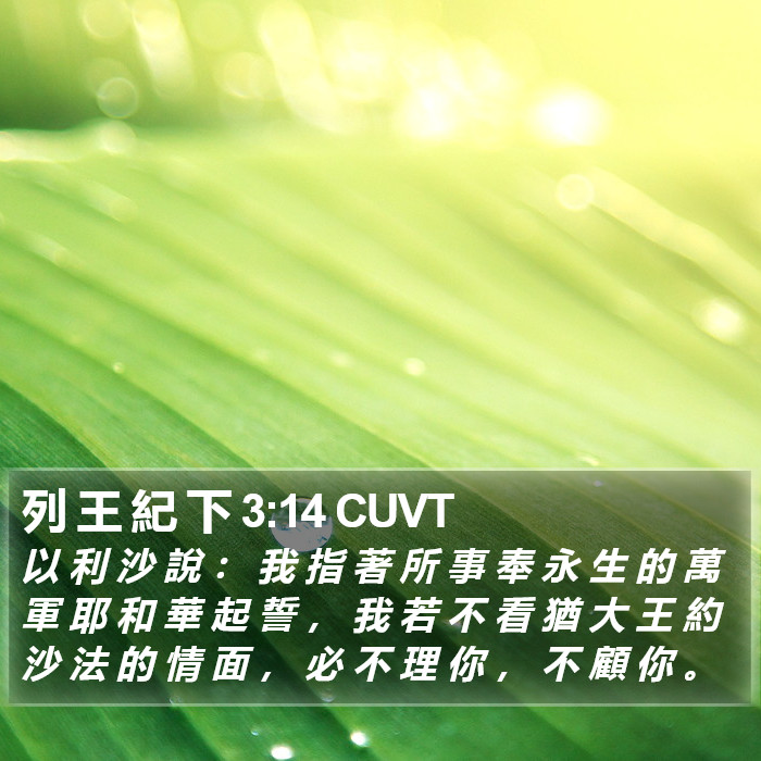 列 王 紀 下 3:14 CUVT Bible Study