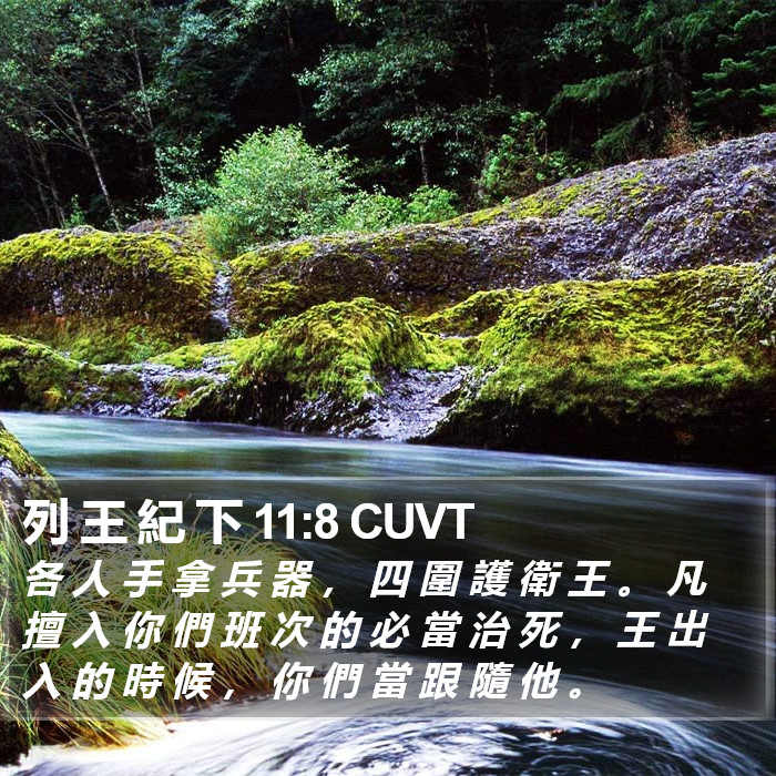 列 王 紀 下 11:8 CUVT Bible Study