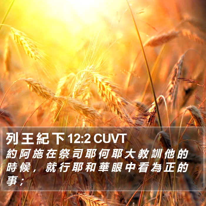 列 王 紀 下 12:2 CUVT Bible Study