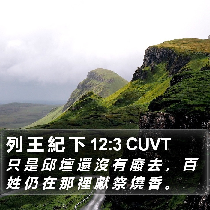 列 王 紀 下 12:3 CUVT Bible Study