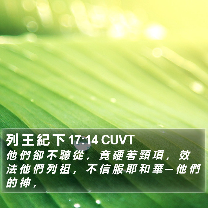 列 王 紀 下 17:14 CUVT Bible Study