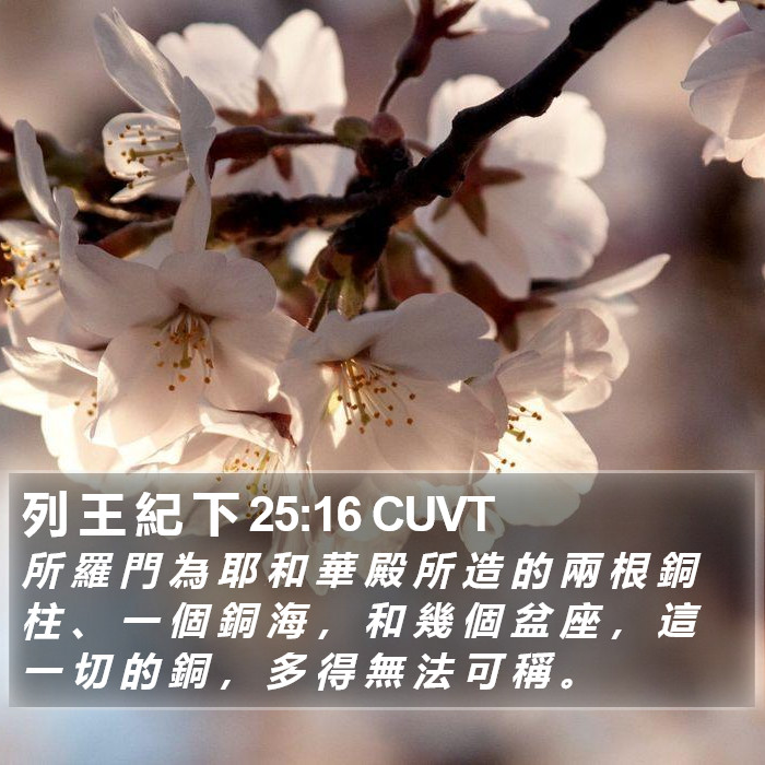 列 王 紀 下 25:16 CUVT Bible Study