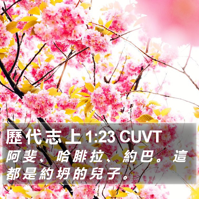 歷 代 志 上 1:23 CUVT Bible Study