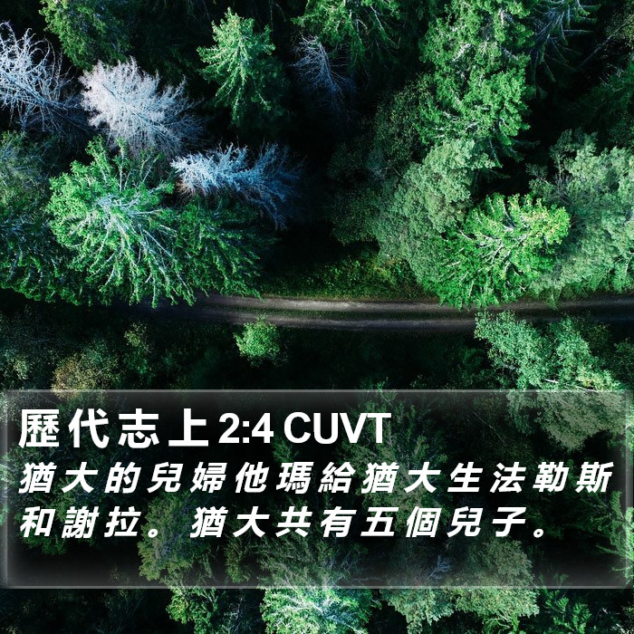 歷 代 志 上 2:4 CUVT Bible Study