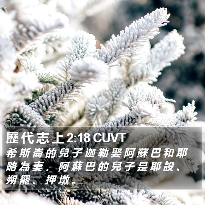 歷 代 志 上 2:18 CUVT Bible Study