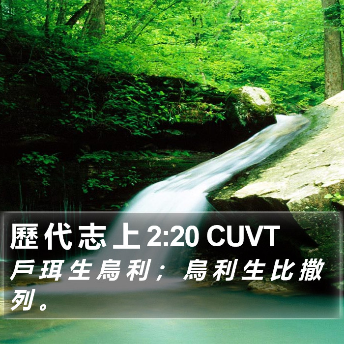 歷 代 志 上 2:20 CUVT Bible Study