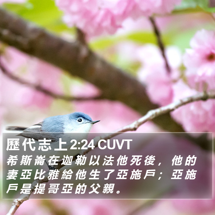 歷 代 志 上 2:24 CUVT Bible Study