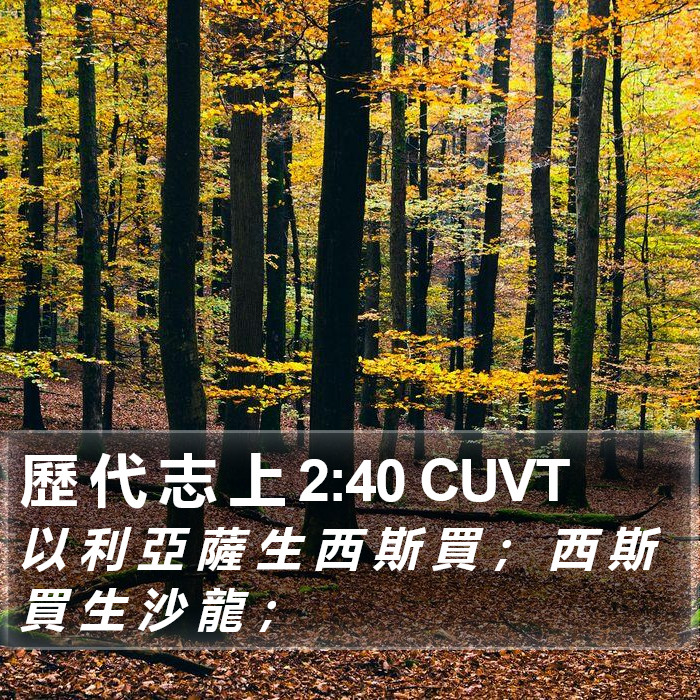 歷 代 志 上 2:40 CUVT Bible Study