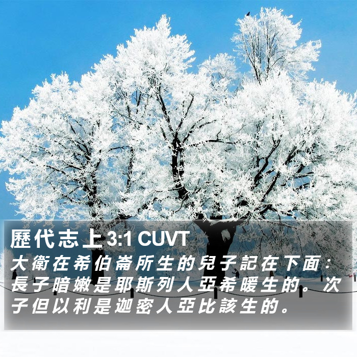 歷 代 志 上 3:1 CUVT Bible Study