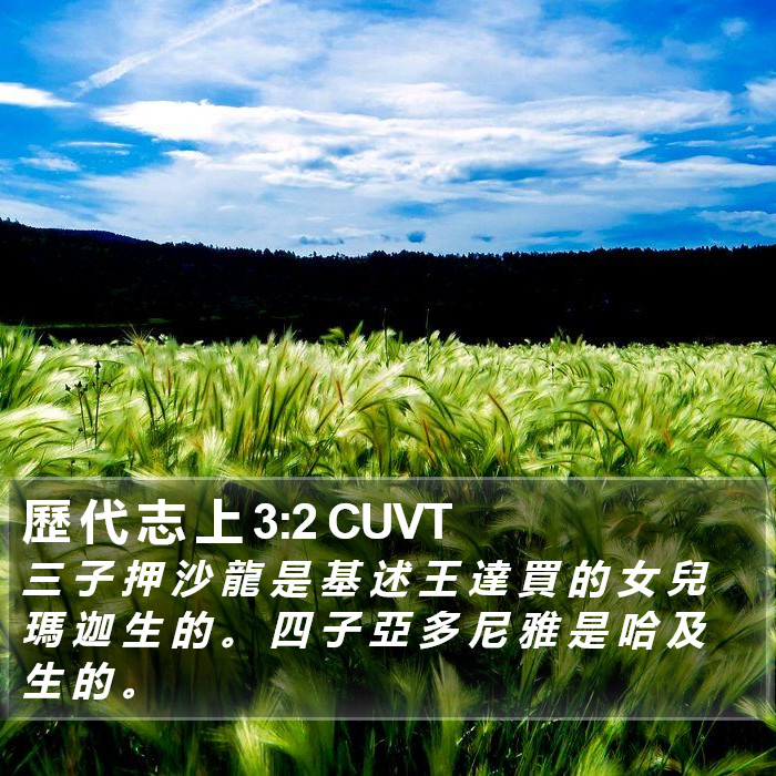 歷 代 志 上 3:2 CUVT Bible Study