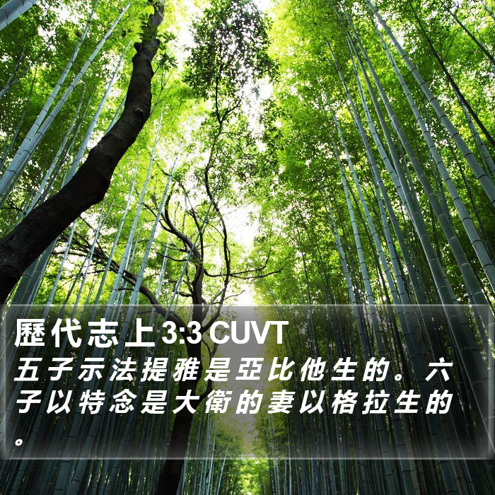 歷 代 志 上 3:3 CUVT Bible Study