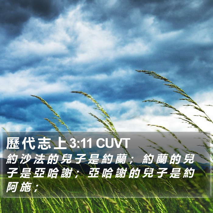 歷 代 志 上 3:11 CUVT Bible Study