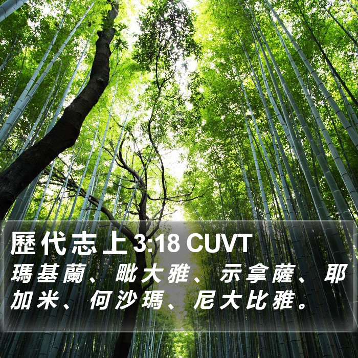 歷 代 志 上 3:18 CUVT Bible Study