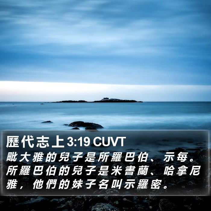 歷 代 志 上 3:19 CUVT Bible Study