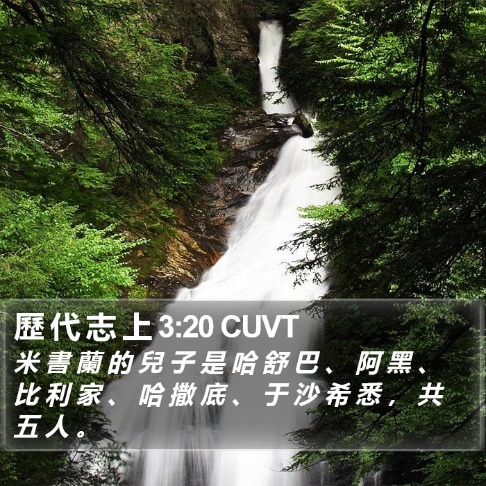 歷 代 志 上 3:20 CUVT Bible Study