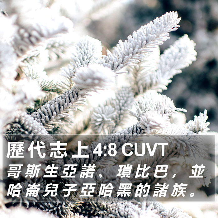 歷 代 志 上 4:8 CUVT Bible Study