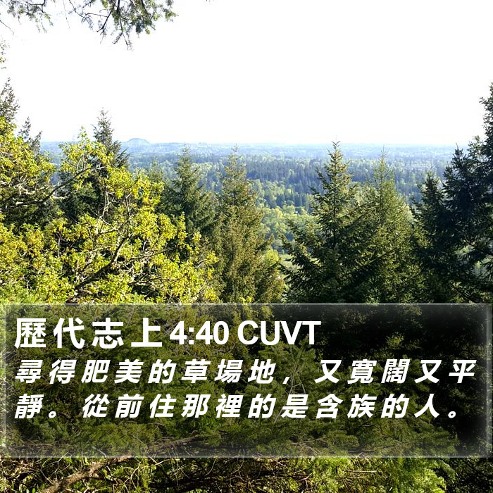 歷 代 志 上 4:40 CUVT Bible Study