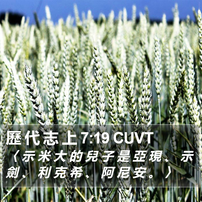 歷 代 志 上 7:19 CUVT Bible Study