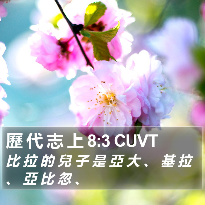 歷 代 志 上 8:3 CUVT Bible Study