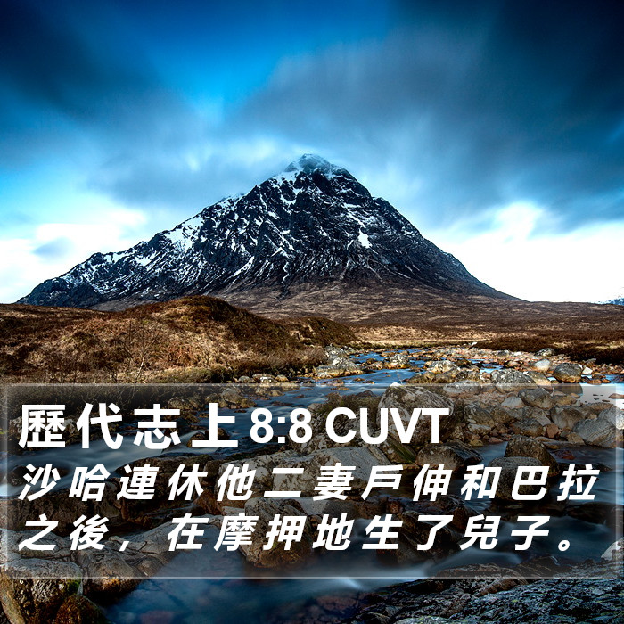 歷 代 志 上 8:8 CUVT Bible Study