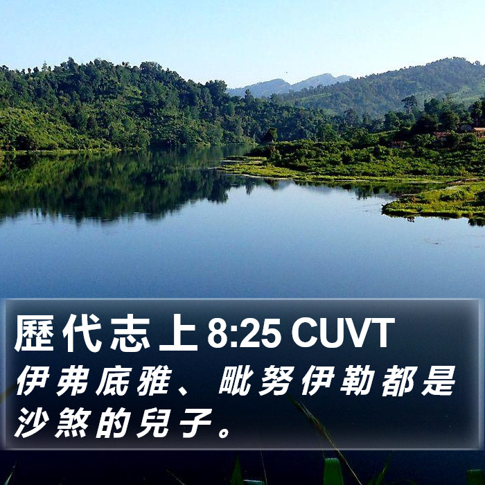 歷 代 志 上 8:25 CUVT Bible Study