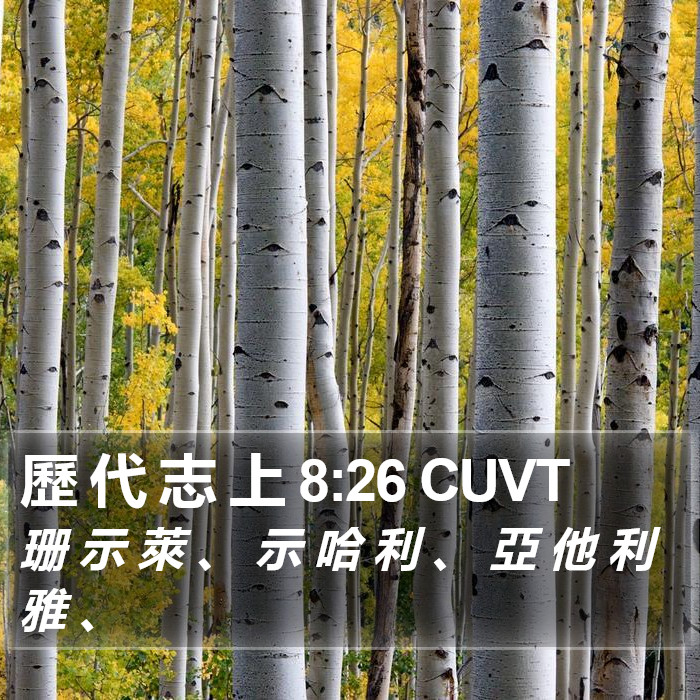 歷 代 志 上 8:26 CUVT Bible Study