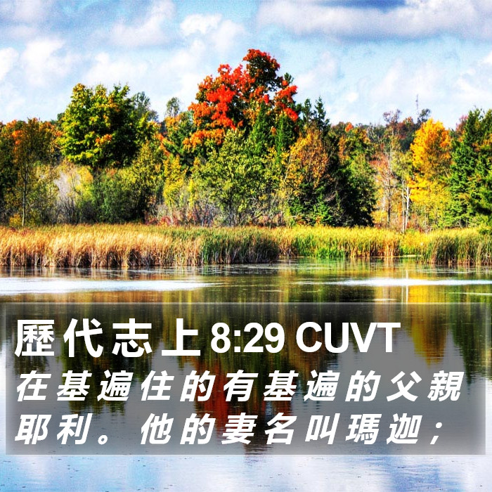 歷 代 志 上 8:29 CUVT Bible Study