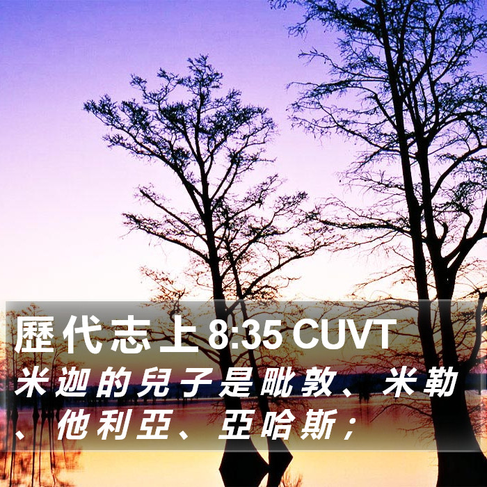 歷 代 志 上 8:35 CUVT Bible Study