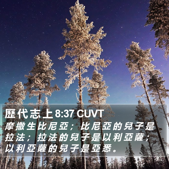 歷 代 志 上 8:37 CUVT Bible Study