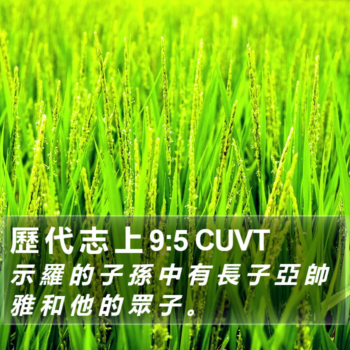 歷 代 志 上 9:5 CUVT Bible Study