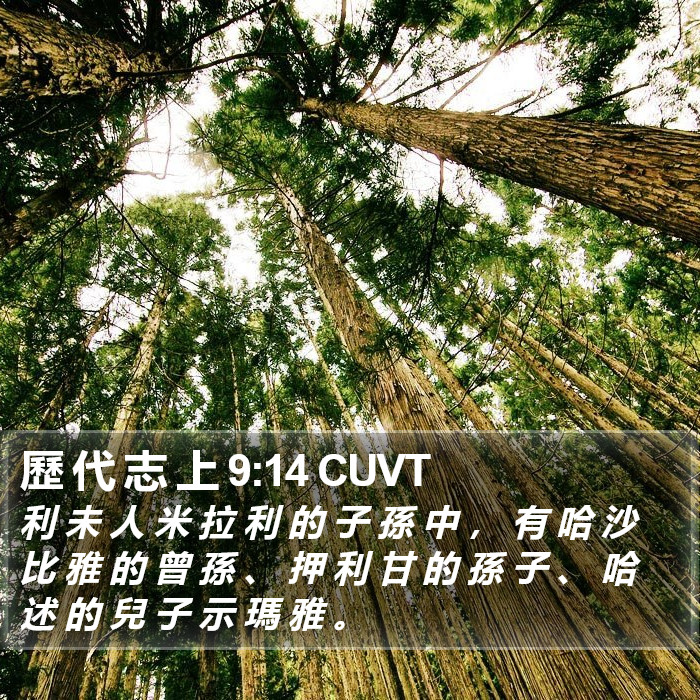 歷 代 志 上 9:14 CUVT Bible Study