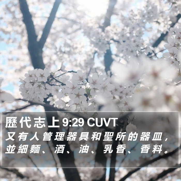 歷 代 志 上 9:29 CUVT Bible Study