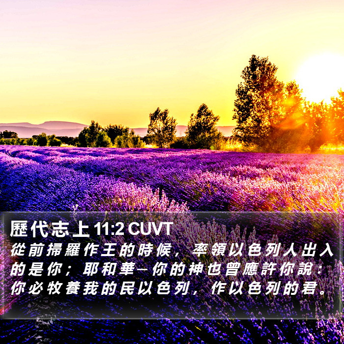 歷 代 志 上 11:2 CUVT Bible Study