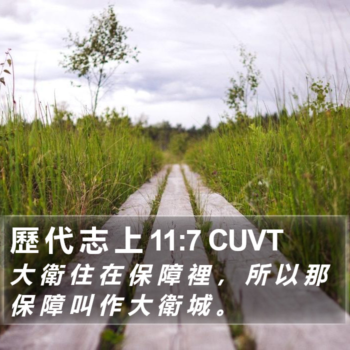 歷 代 志 上 11:7 CUVT Bible Study