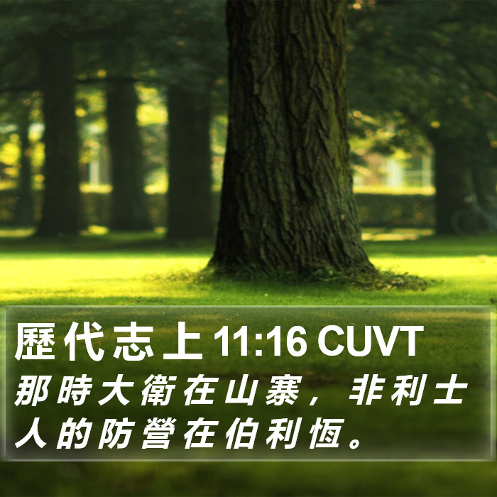 歷 代 志 上 11:16 CUVT Bible Study