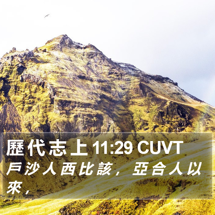 歷 代 志 上 11:29 CUVT Bible Study