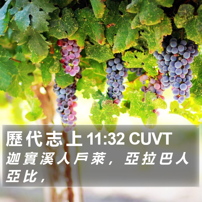 歷 代 志 上 11:32 CUVT Bible Study
